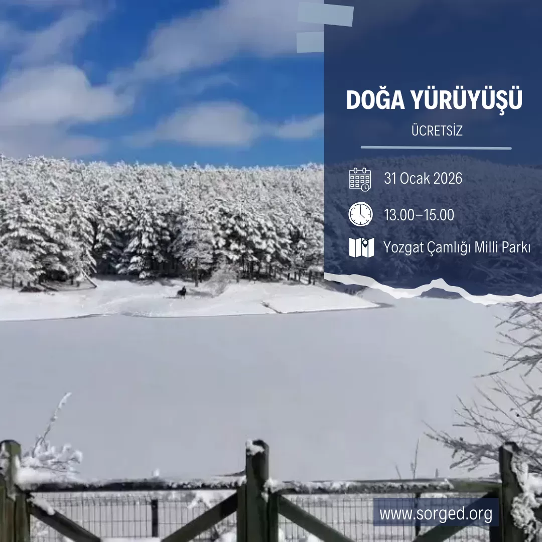 Beyazın İçinde Yeşil Bir Mola