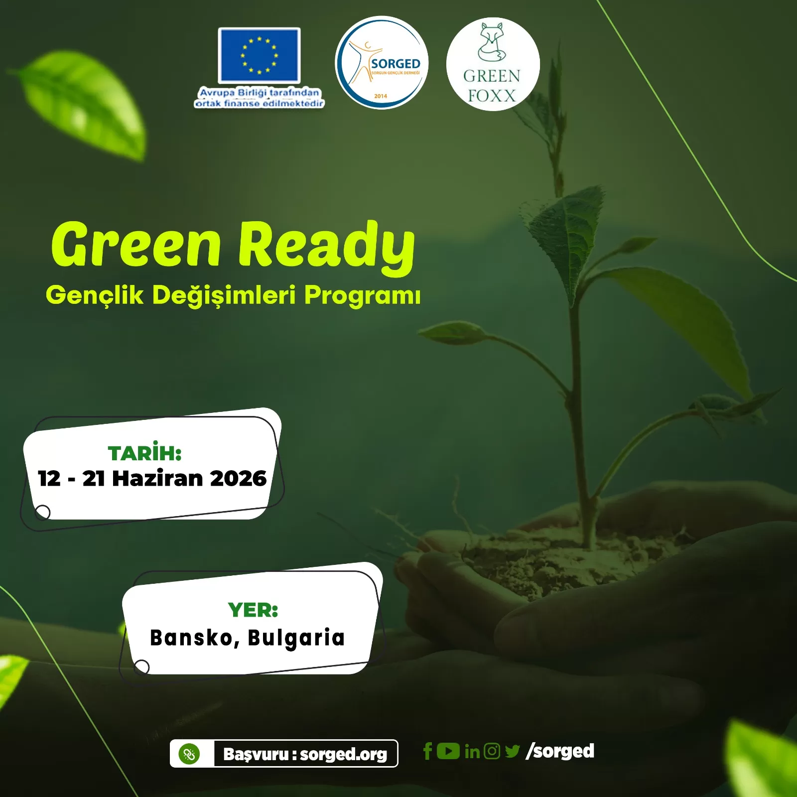 Yeşil Ekonomide Kariyer Fırsatlarını Keşfet