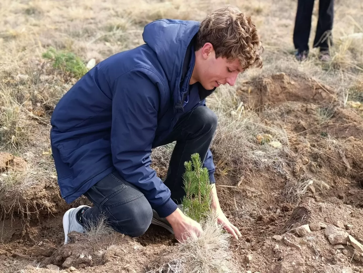 🌱 11 Kasım Milli Ağaçlandırma Günü 🌳